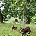 Villa Manoir Nestor - Chairiere *