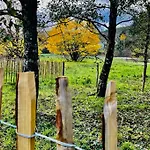 Manoir Nestor - Chairiere