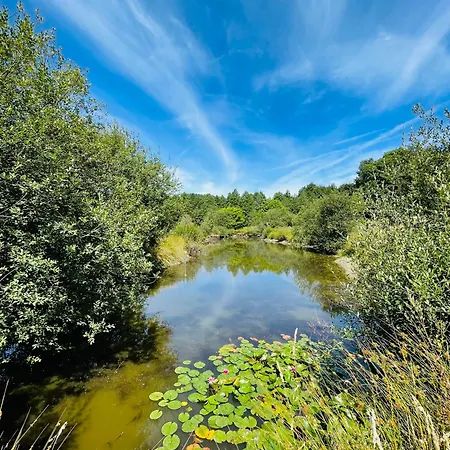 فيلة Manoir Nestor - Chairiere *