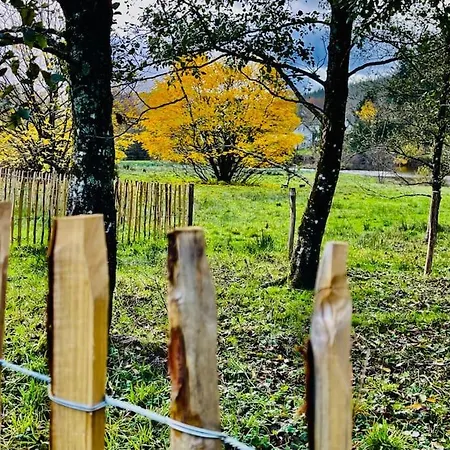 Manoir Nestor - Chairiere